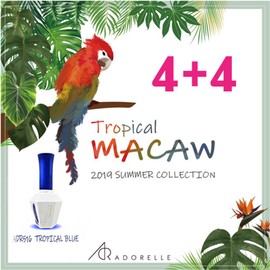 Adorel 2019 Summer Collection Tropical Mako 4+4 Event / 아도렐 2019 여름 컬렉션 트로피칼 마코 4+4행사