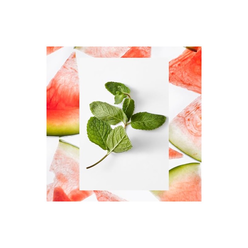 Raw Sugar, Liquid Hand Soap Watermelon, 16.9 Ounce