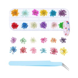 MOPZIJA 1 Boxen getrocknete Blumen für Nägel, Farben Nail Art Aufkleber trockene Blumen Kit getrocknete Blumen Zubehör Set DIY Nageldekoration,blumen nail art aufkleber,flower nail,Mit 1 Pinzette