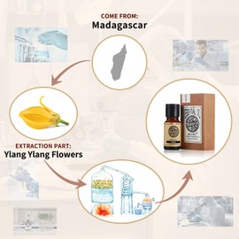 Ylang Ylang Essential Oil AKARZ Natural Organic Pure Premium Therapeutic ylang-ylang Oils for Skin Body Hair Care , Diffuser, Candle ,Soap ,Making , DIY ,Massage Aroma 0.34 Fl Oz (10ml)