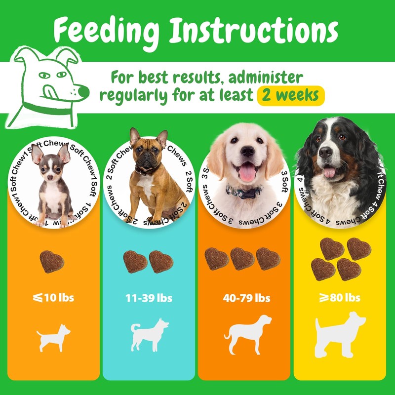 PENPEN Probiotics for Dogs, Dogs Probiotics for Digestive Health, Multi-Probiotic