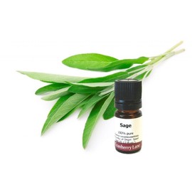 Cranberry Lane Sage 100% Pure Essential Oil, 50ml