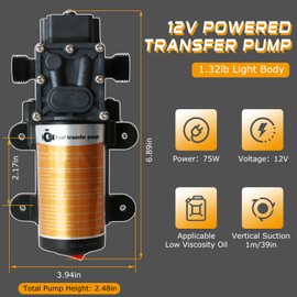 Steauty Portable DC 12V Electric Gasoline Transfer Pump, with 75W DC Motor, Moves Up to 110 Gallons of Gas or Diesel Per Hour, Suitable for Vehicles, Boats, Motorbike, Equipment, Gasoline, Diesel