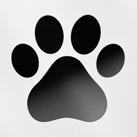 Transparent Decal Stickers of Dog Paw (Black) Premium Waterproof Vinyl Decal Stickers for Laptop Phone Accessory Helmet Car Window Mug Tuber Cup Door Wall Decoration ANDsticd19643BL04.26.22