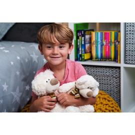 Mousehouse Gifts Plush Stuffed Animal Teddy Bear Soft Toy (28cm)