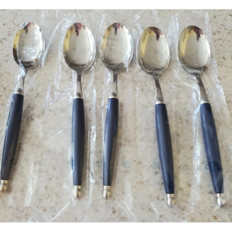 Giannini Imported Silverware 24 piece blu stainless steel set. Retails