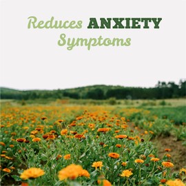 St. Francis Herb Farm Strest® | Herbal Tincture with Ashwagandha | Helps with Stress Relief | Relief Remedy Drops | Certified Organic, Non GMO, Gluten Free, Vegan, Dairy Free (100 ml)