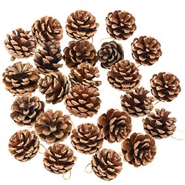 24 Pieces Christmas Natural Pine Cones, Rustic Pinecones Bulk Ornaments with Rope for Home Accent Decor, Fall Thanksgiving Tree Decoration Harvest Autumn Party Craft Accessory Decorations