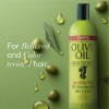 Loción Capilar Ors Olive Oil Professional Incredibly Rich 68