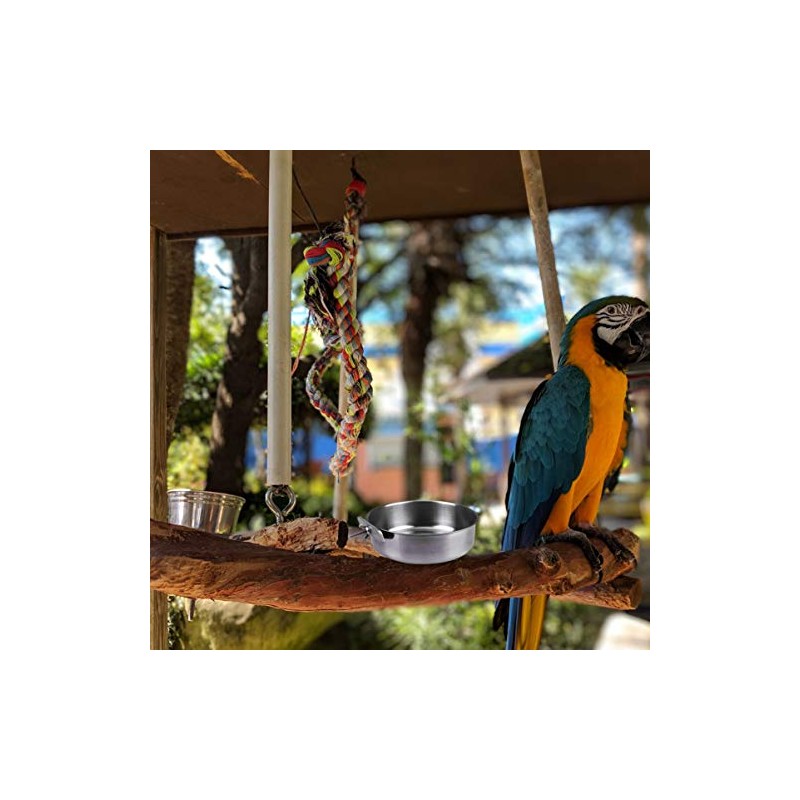 POPETPOP Alimentador De Aves De Acero Inoxidable 2 Piezas para