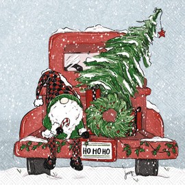 Boston International IHR - Servilletas de papel de 3 capas, tamaño de almuerzo de 20 unidades, gnomo Ho