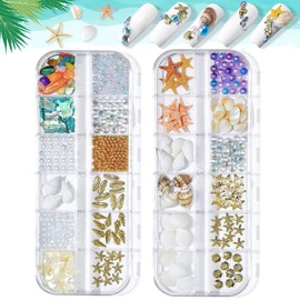 Ocean Themed Nail Charms,2 Boxes Irregular Abalone Shell Slices Conch Starfish Nail Art Charms,Shell Mini Stone Pearls Colorful Beads 3D Nail Art Decorations for Manicure Design DIY Crafts
