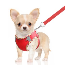 DoggieKit Dog Harness for Small Medium Dogs No Pull Adjustable Step in Puppy Harness and Leash Set,Reflective Breathable Mesh Pet Harnesses Soft Padded Vest for Dogs Easy to Put on…