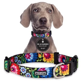 Lucky Love Dog - Adjustable Dog Collar with Easy Click Buckle for Small to Large Ones, Durable, & Comfortable for Male & Female Dogs, Pet Collar for Puppies & Adult Dogs - Blackbird, Medium
