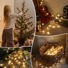 BEEWIN Globe String Lights,10FT 30 LED Decorative Christmas Lights,8 Modes