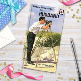 Danilo Promotions Husband Birthday Card, Happy Birthday Card Husband, Ladybird Husband Birthday Card, Happy Birthday Husband Card,Multi,9 x 5
