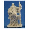 Reaper RPR77206 Friar Stone Miniature Dark Heaven Bones Miniatures