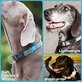 Panjal AirTag Hülle für Hundehalsband | Anti-Verlust, wasserdichte, leichte und langlebige AirTag-Abdeckung | Passend für Hunde-, Katzen- und Welpenhalsbänder, Rucksack- und Schultaschengurte (klein)