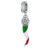Fuguangju Italian Horn Charms 925 Sterling Silver Lion Italian Charm