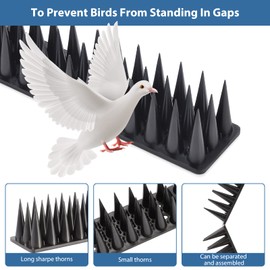 Bird Spikes, 20 Pack Bird Squirrel Raccoon Pigeon Cat Animal Deterrent Spikes for Bird Spikes for Outside Anti Bird Defender Spikes Outdoor to Keep Birds Away and Keep Birds from Building Nest