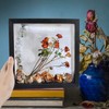 OctBird 8x8 Shadow Box Frame, Black Shadow Box Display Case,