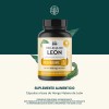 Melena De Len Mushrooms Life 360 90 Cpsulas Hongo Melena
