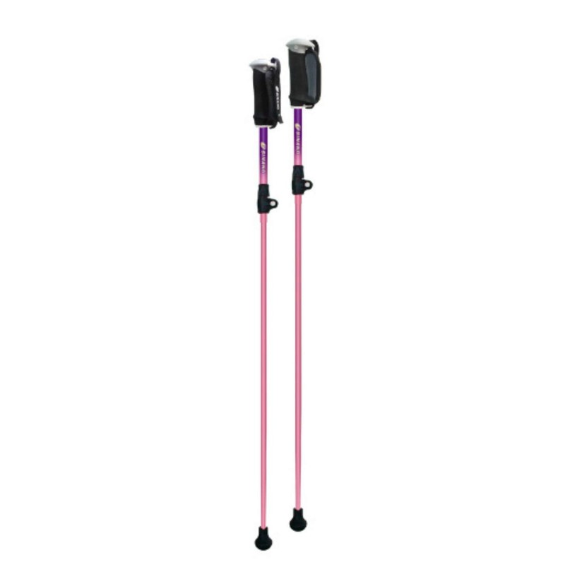 Shinano Revita Portable + Pink