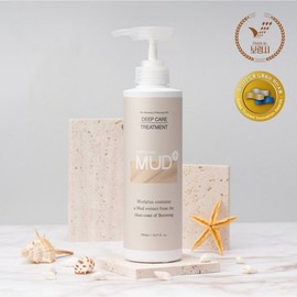 Boryeong mud treatment, 1 piece, 500ml / 보령머드 트리트먼트, 1개, 500ml