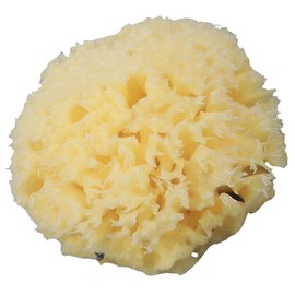 WOONEKY Bath Exfoliating Sponge Natural Sea Sponge Body Cleaning Scrubber for Adults Soft and Skin Care Gentle Exfoliation Shower for Daily Use