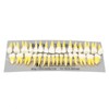 1:1 Scale Permanent Tooth Model 32pcs Dual Colors Permanent Resin