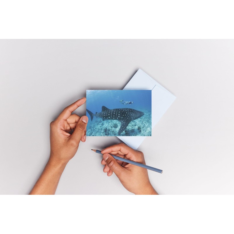 Edition Colibri Whale Shark with Diver 3D Lenticular Postcard/Hologram Postcard