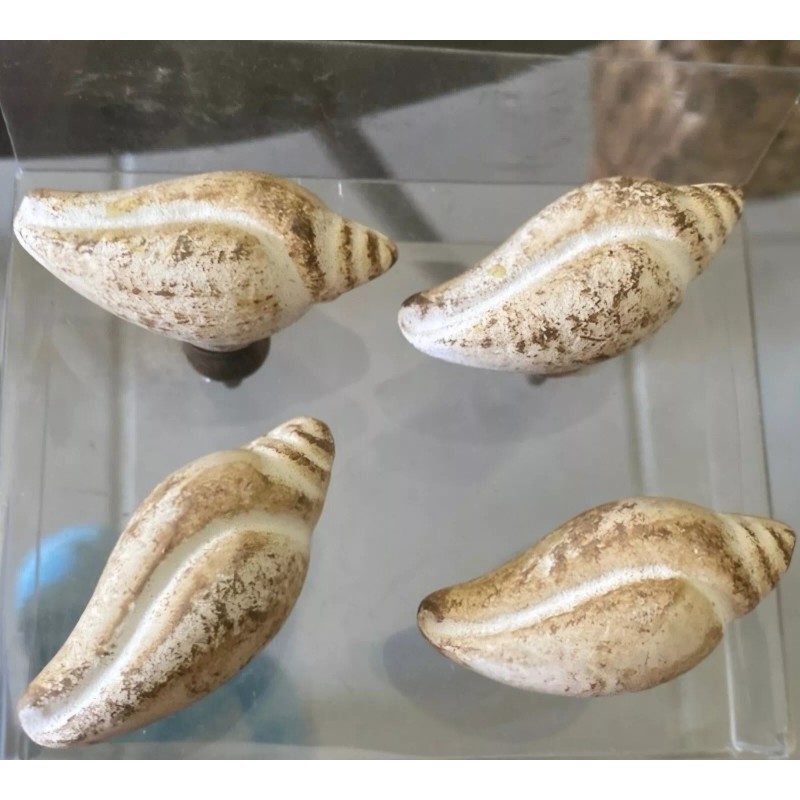 Sanibel Shores Set of 4 Sanibel Shores Ceramic Sea Shell