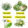 ALKA VITA Higado Limpio Saludable Remedio Herbal Gotas Alcachofa Cola