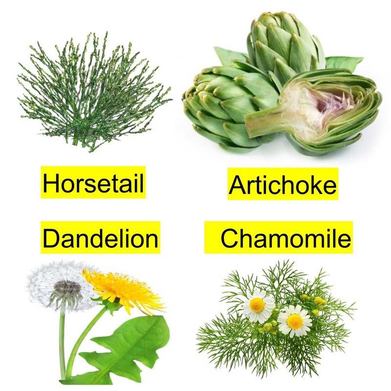 ALKA VITA Higado Limpio Saludable Remedio Herbal Gotas Alcachofa Cola