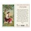 Act of Contrition Laminated Prayer Cards - Pack of 25