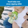 Dr. Brown's Milestones Insulated Sippy Cup with Straw and Handles,