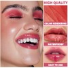 Set de 4 Brillos de Labios Hidratantes Nude, Gloss Líquido