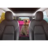 GXT Dog Back Seat Cover Protector for Cars SUV and