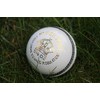 Cricket Ball - White Leather Match Quality (Adult Men's)