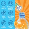 Crystal Light Immunity Support Orange Tangerine Drink Mix, 10 ct