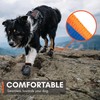 Non-stop dogwear Protector Bootie Pack of 4, 132, Firm Paw