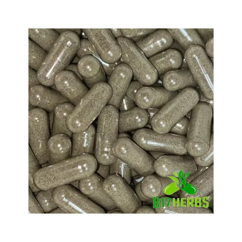 B17 Herbs Ultimate Sea Blend- Irish Moss, Bladderwrack, Kelp, Dulse