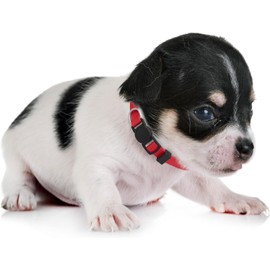 LAFAYI - Collar de perro para cachorro, 18 unidades, ajustable, de nailon súper suave, hecho a mano, para perros pequeños (7-10 pulgadas)