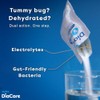 DiaCare Berry Electrolytes and Probiotic | Berry Flavour Oral Electrolyte