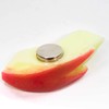 Food Sample Magnet, Likely to Eat, Rabbit Apple, 52.8 ft