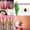 60 Stück Mugwort Navel Sticker,Natural Herbal Belly Sticker,Detox Pflaster,Beifuß Nabel