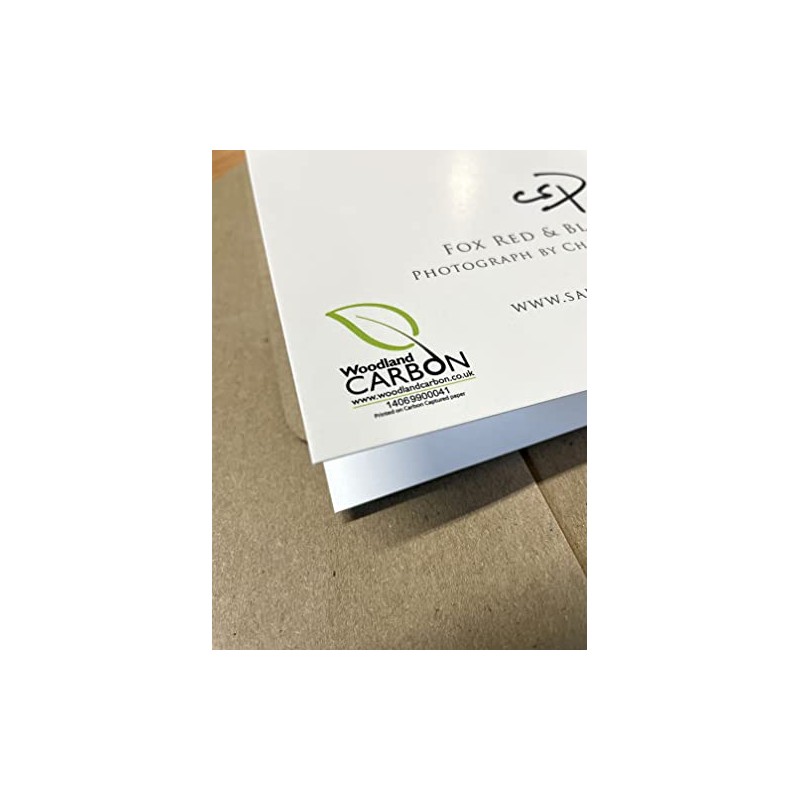 Fox Red and Black Labrador Dog Birthday Card