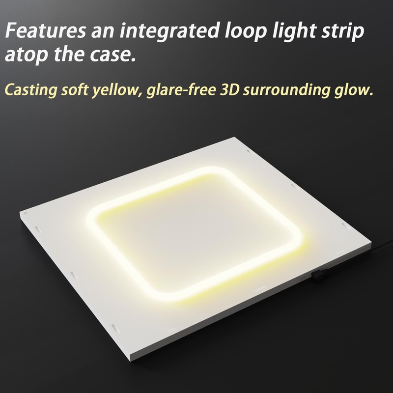 Acrylic Display Case with LED Light Top for Collectibles