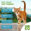 Only Natural Pet - Fast Clumping Cat Litter Non GMO