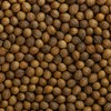 Coriander Seeds Whole 10 oz – Premium Grade, Aromatic &